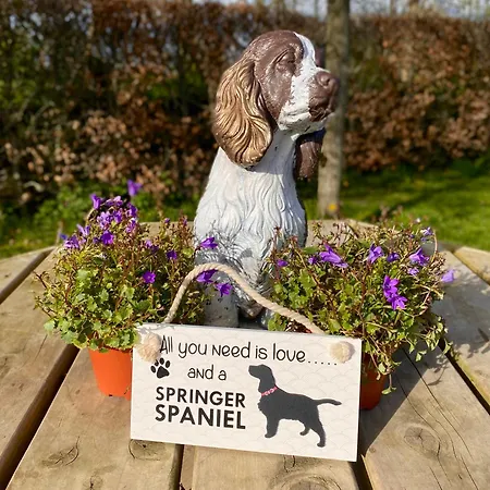 Modern Space 20 Minutes From Airport Διαμέρισμα *